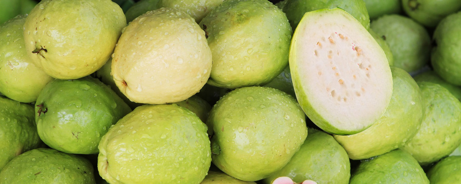 white-guava-pulp