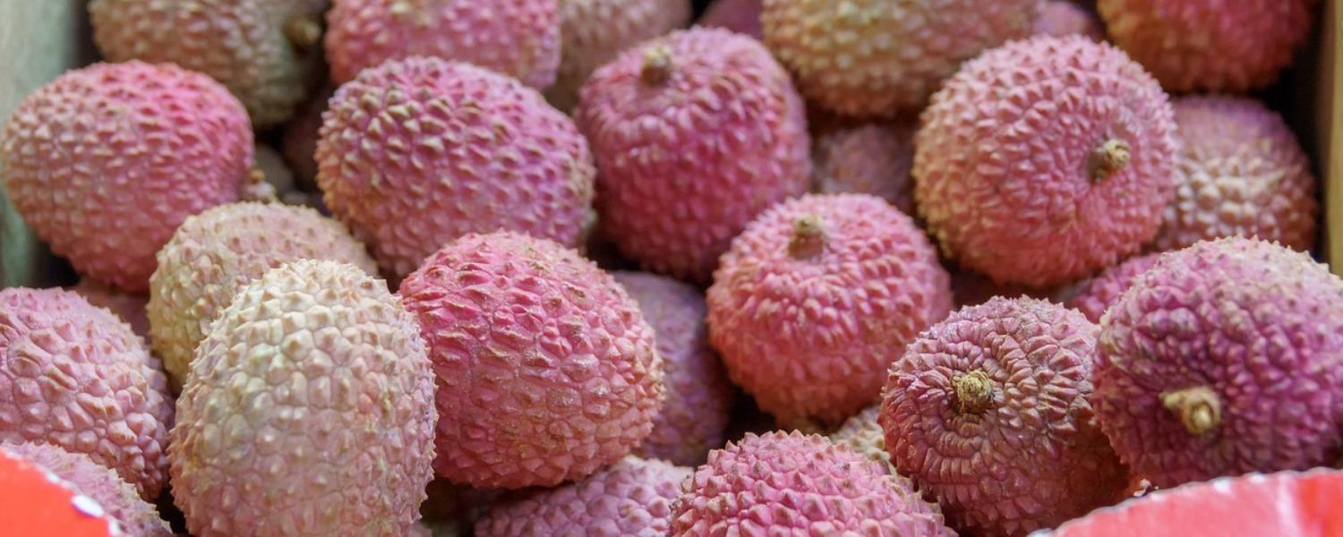 Litchi Pulp