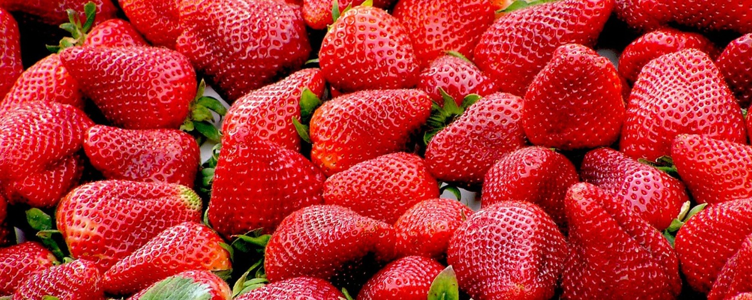 Strawberry Pulp